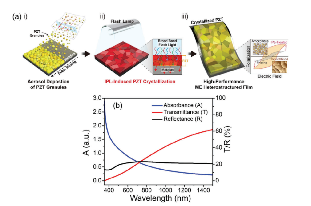 《Advanced Material》：采用光子燒結(jié)熱處理Pb（Zr，Ti）O3/Metglas異質(zhì)結(jié)構(gòu)薄膜會產(chǎn)生超過20Vcm?1Oe?1的極大磁電耦合（IF=29.477）